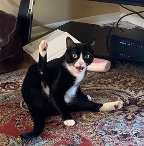 Meet your Posher, Drewski